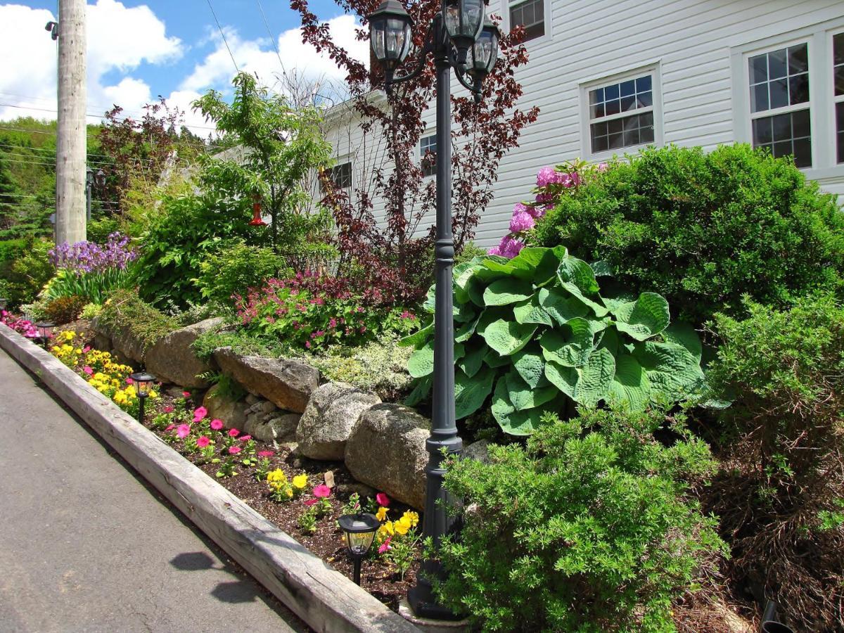 Larinda'S Landing Oceanfront Cottages Halifax Exterior photo
